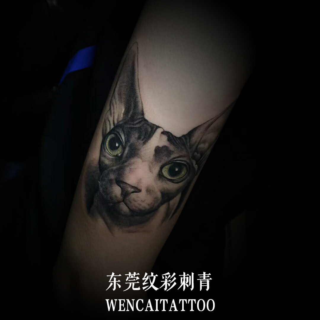 ݸССϵĴȳͼ