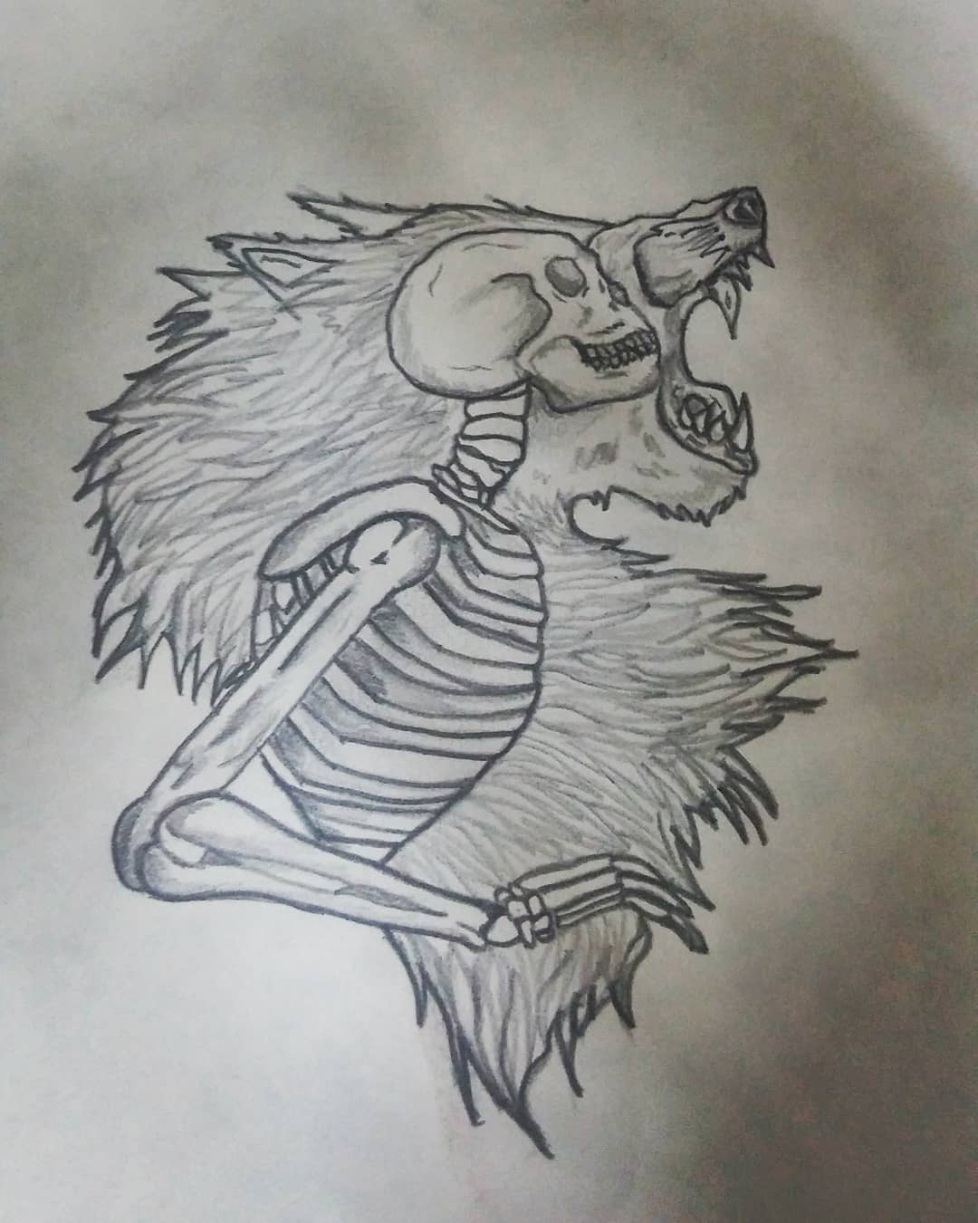 ָ